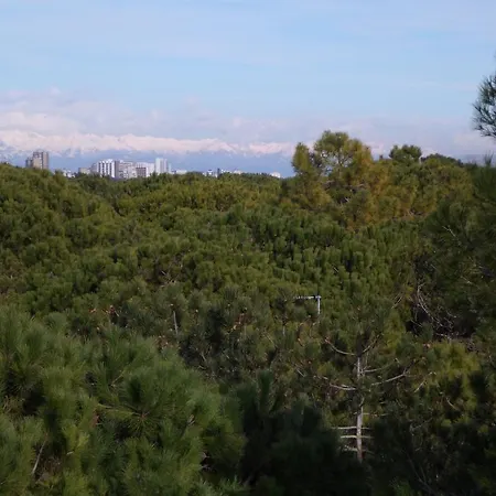 Apartment Gardenia *